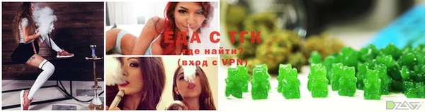 гидра Абаза